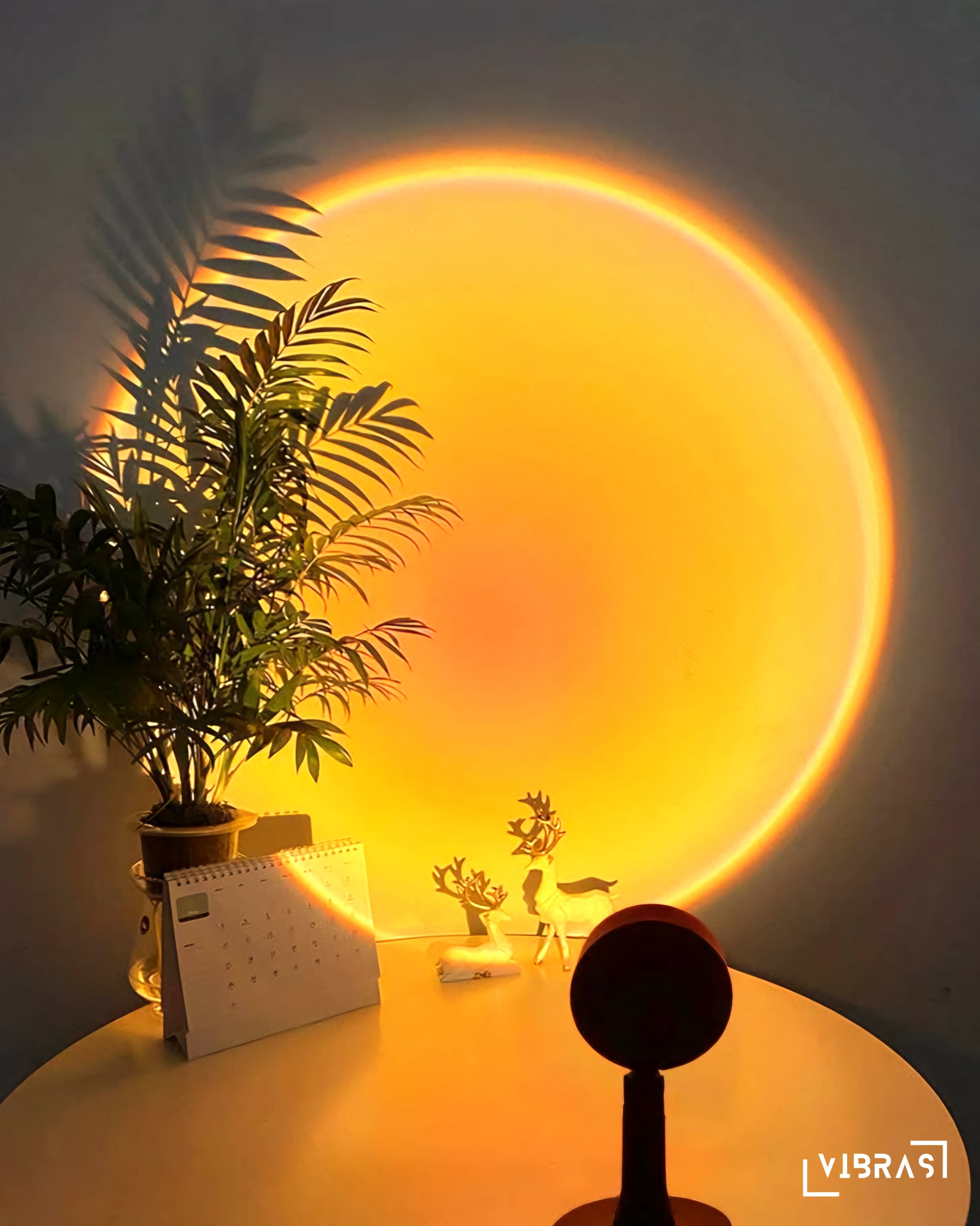 Imagen adicional del producto